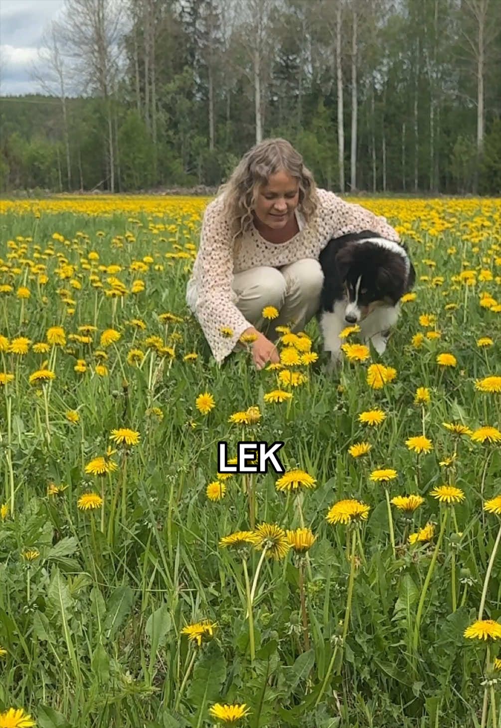 @Vilja - Australian Shepherd