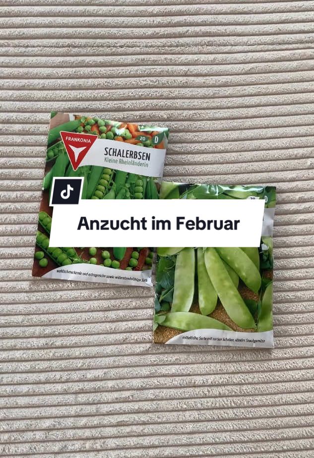 @pflanzdirwas 🌻🪴