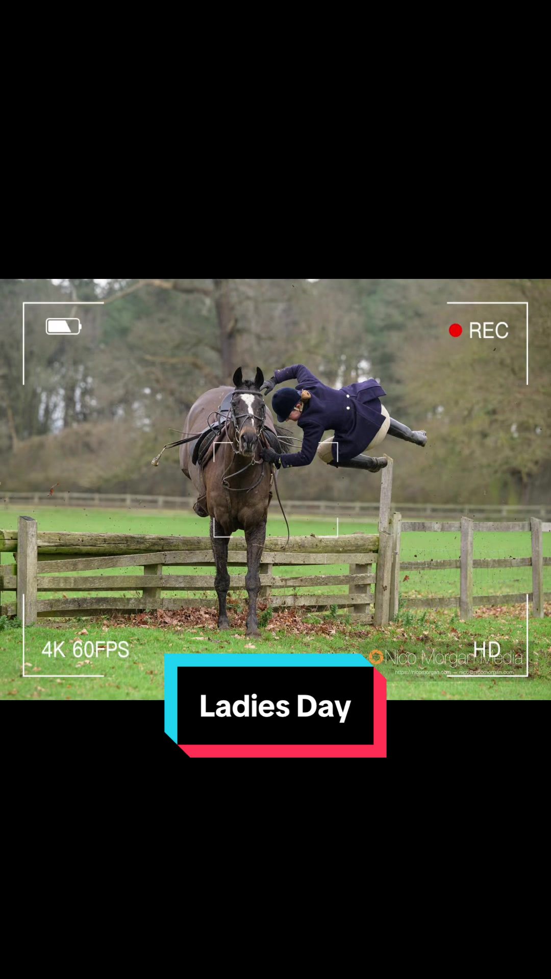 @Nico Morgan | Equine Media