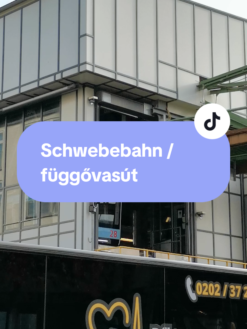 @PTF - Public Transport Fan