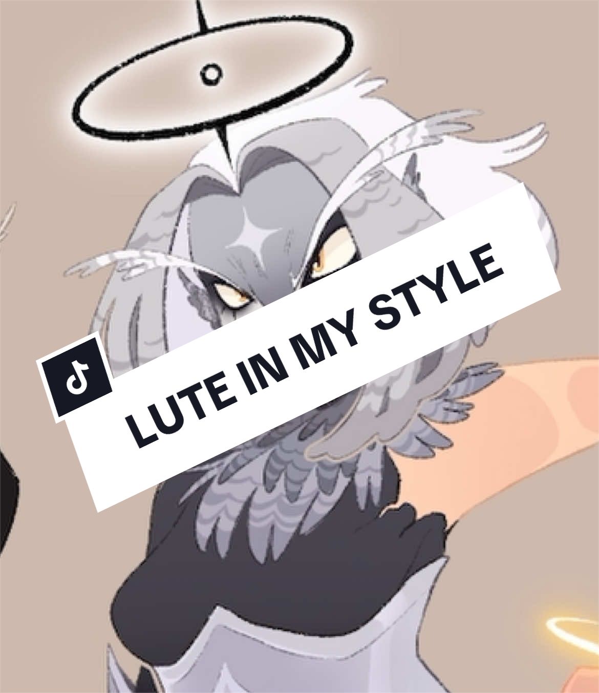@๐ฆค๐๐๐๐