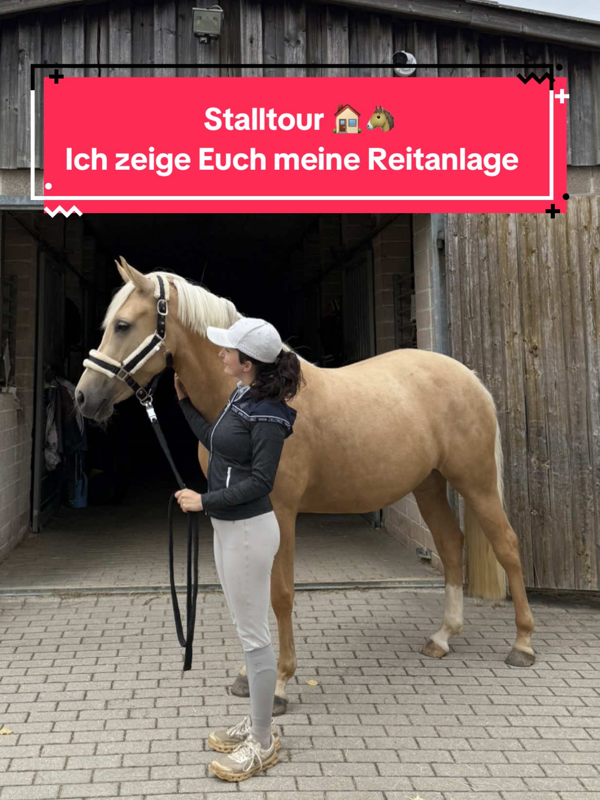@Sophia • SL Reitschule