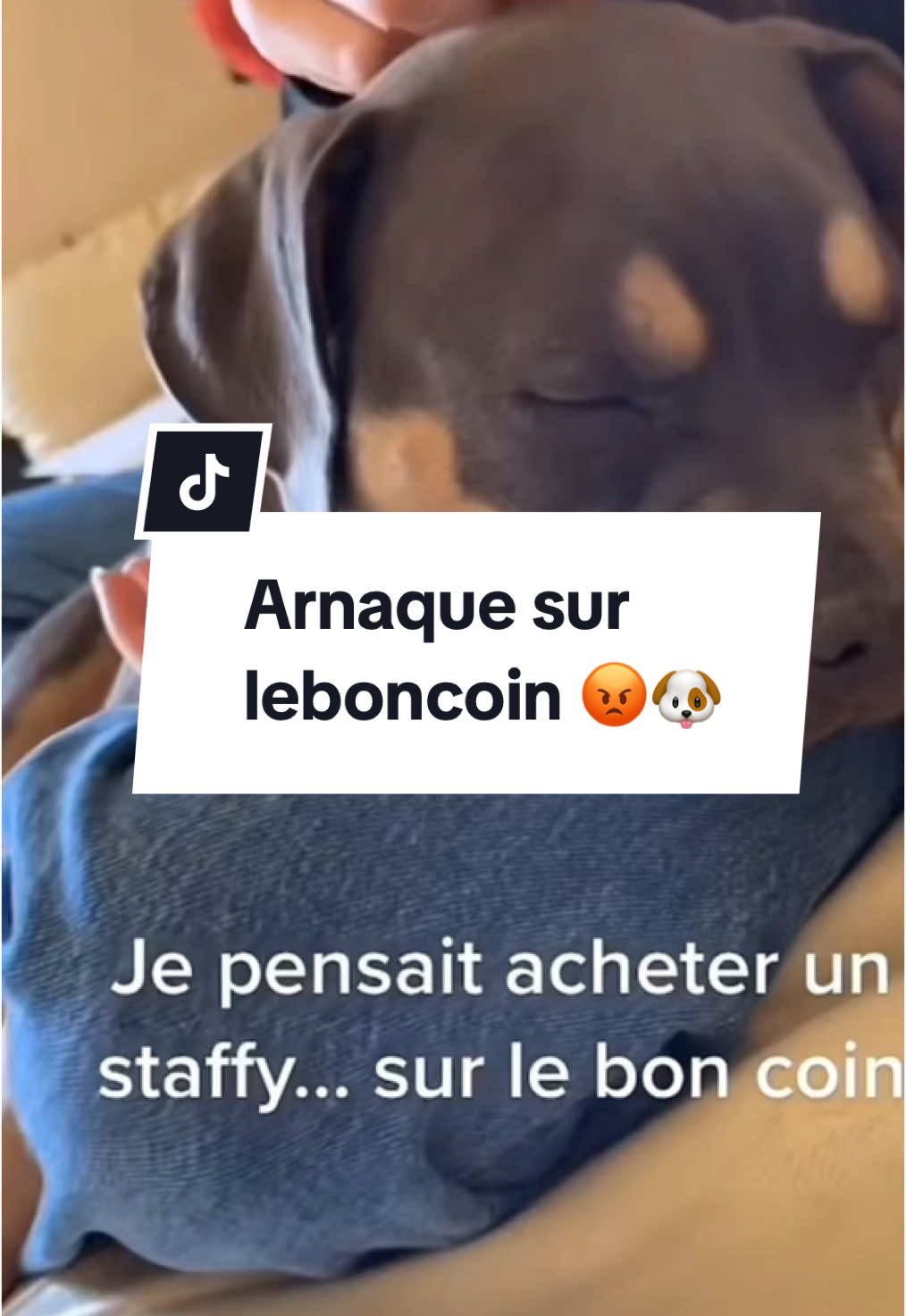 @urgence.annonce