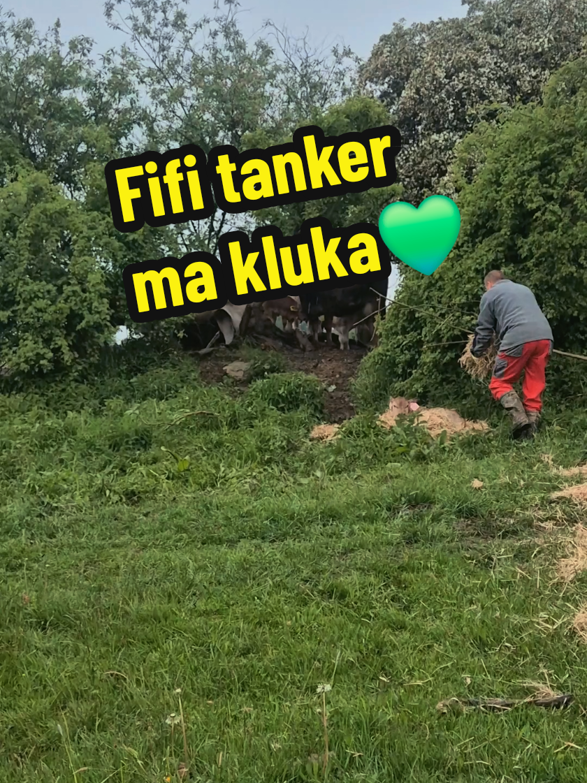@Ekofarma Holčovice