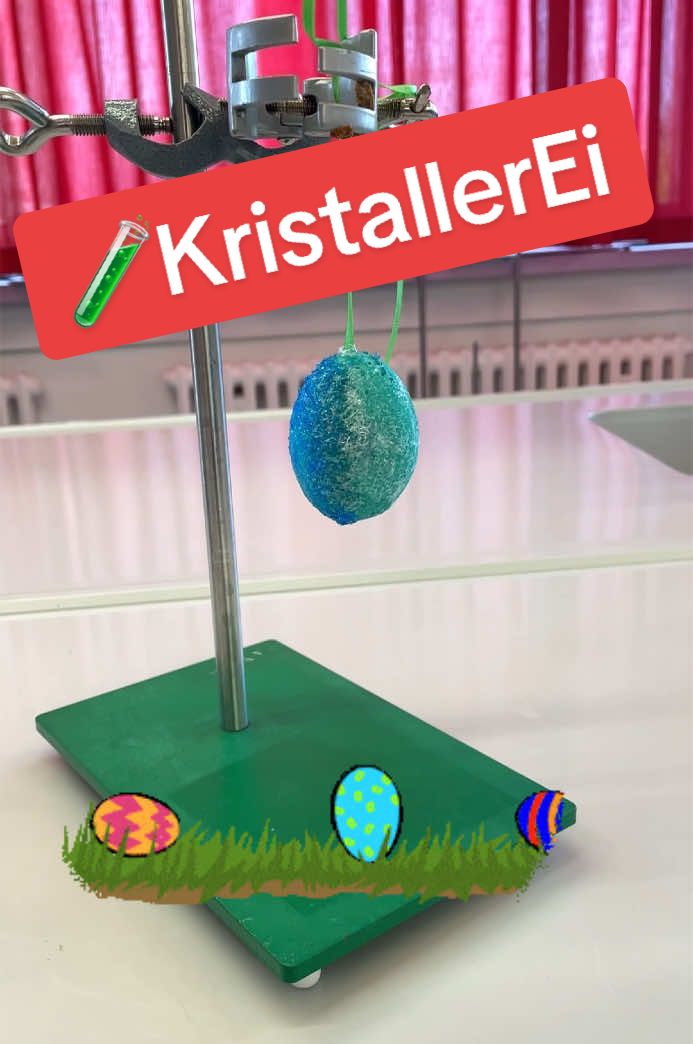 @Forscherwelt