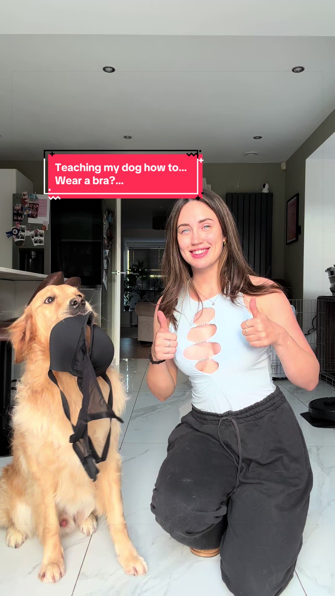 @Sheldon The Retriever