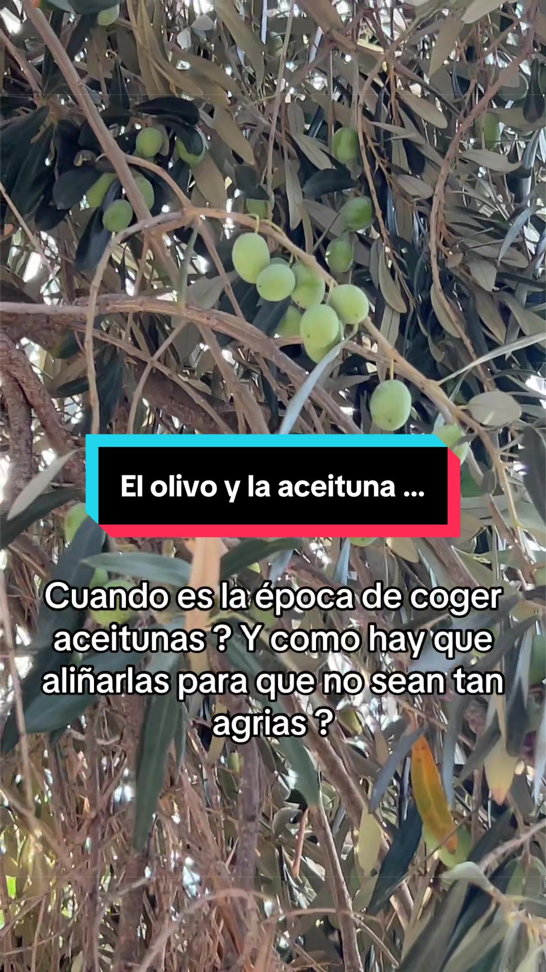 @Rafa Vilalta Rueda