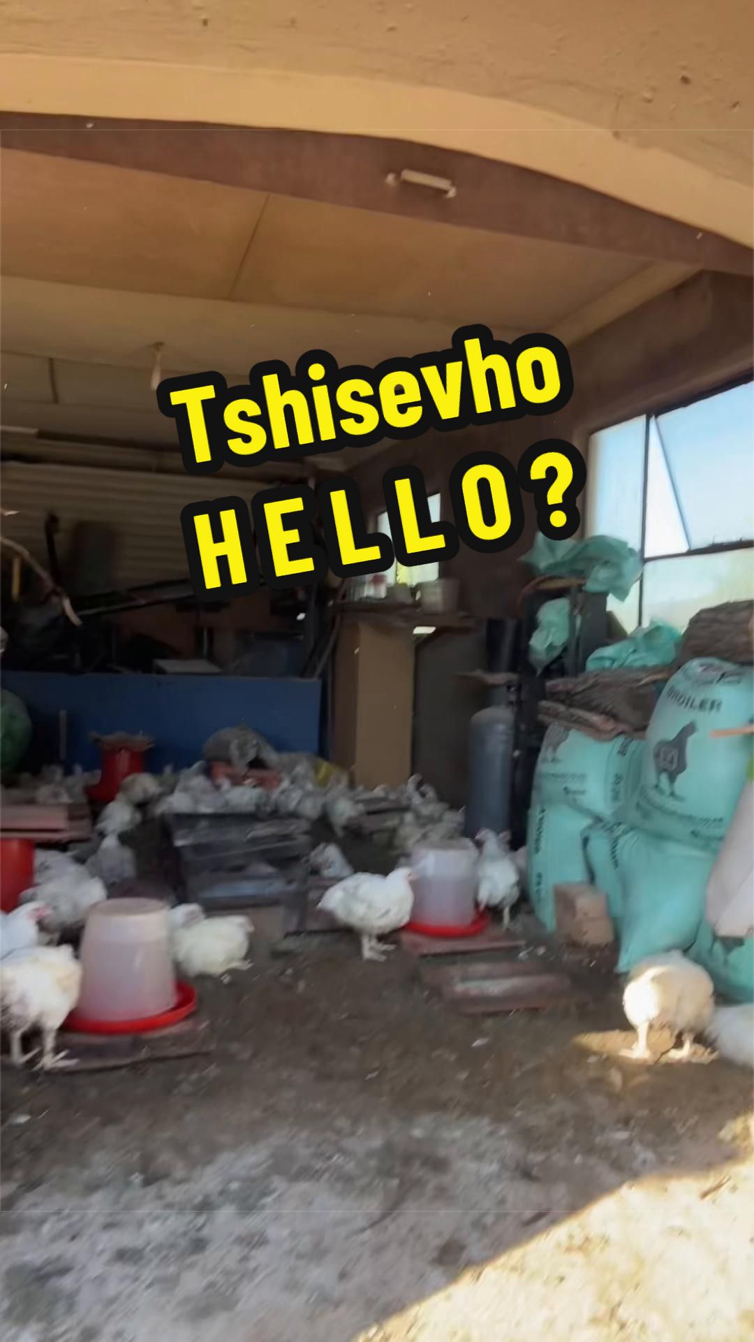 @itscindytembo