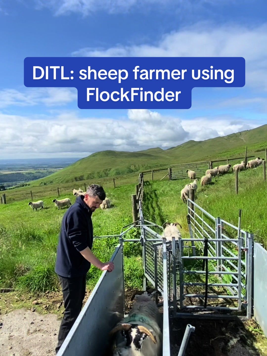 @FlockFinder