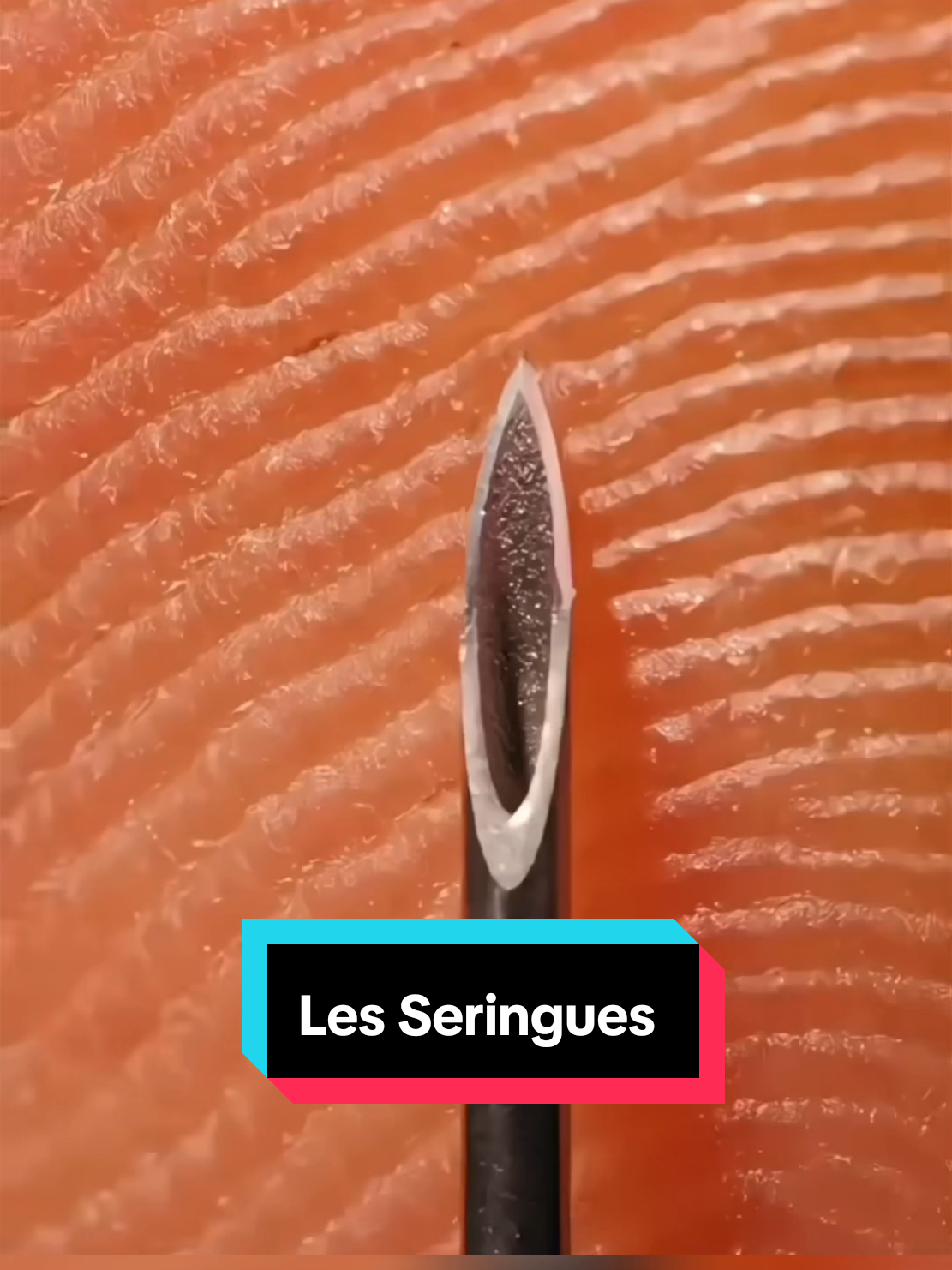 @Savoir Plus 🤓