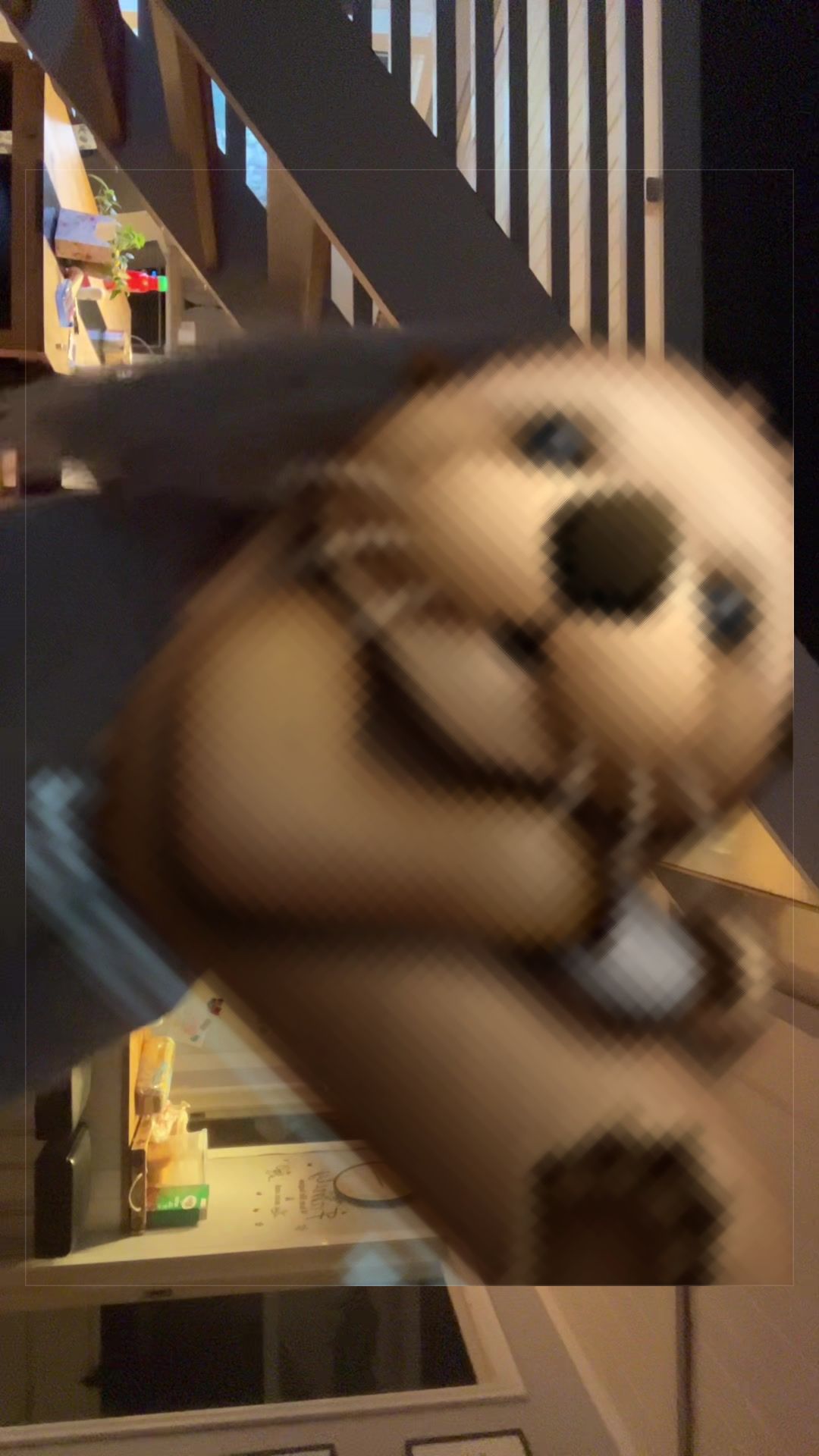@Nova🦦