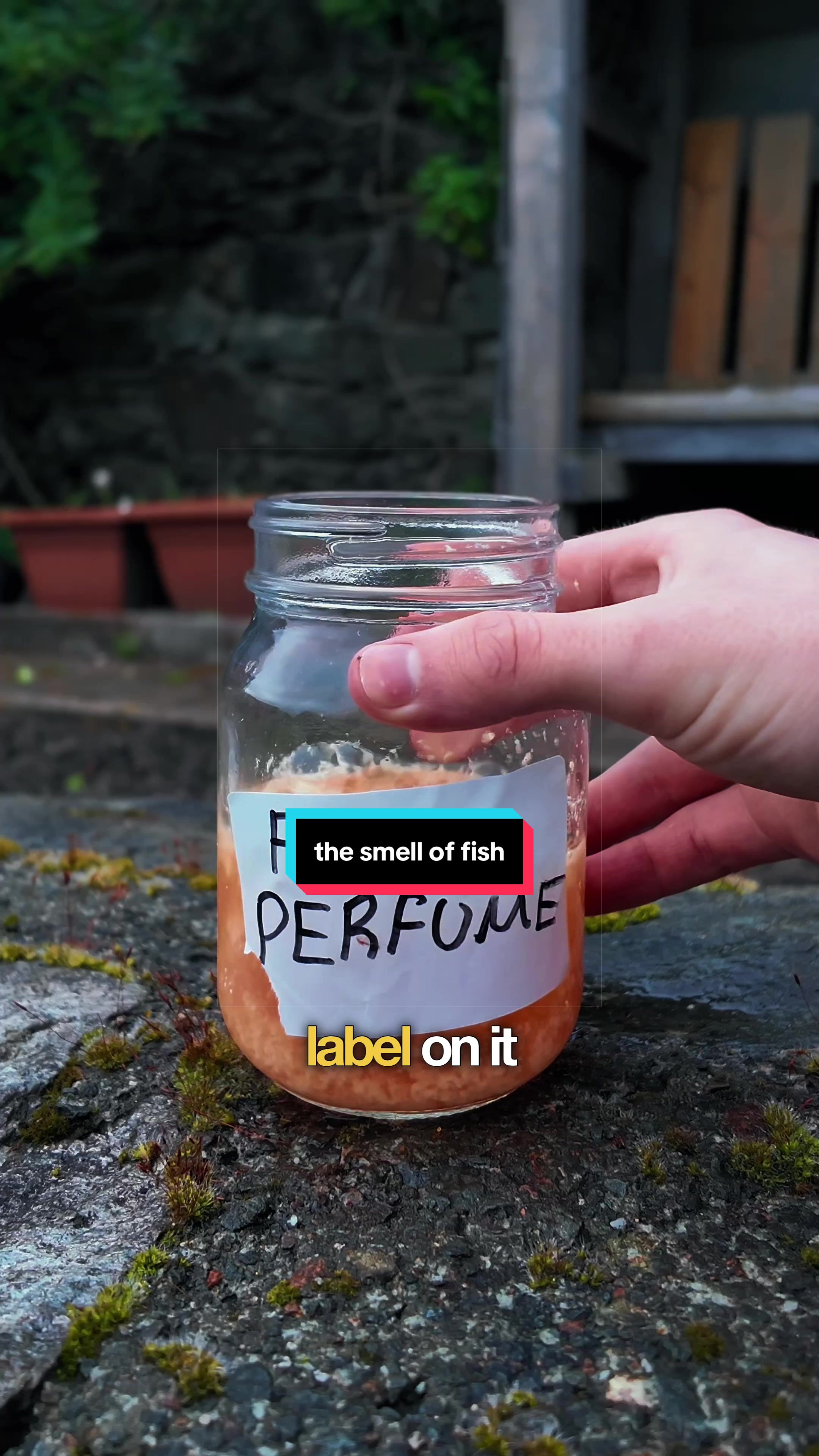 @Charles | Perfumer