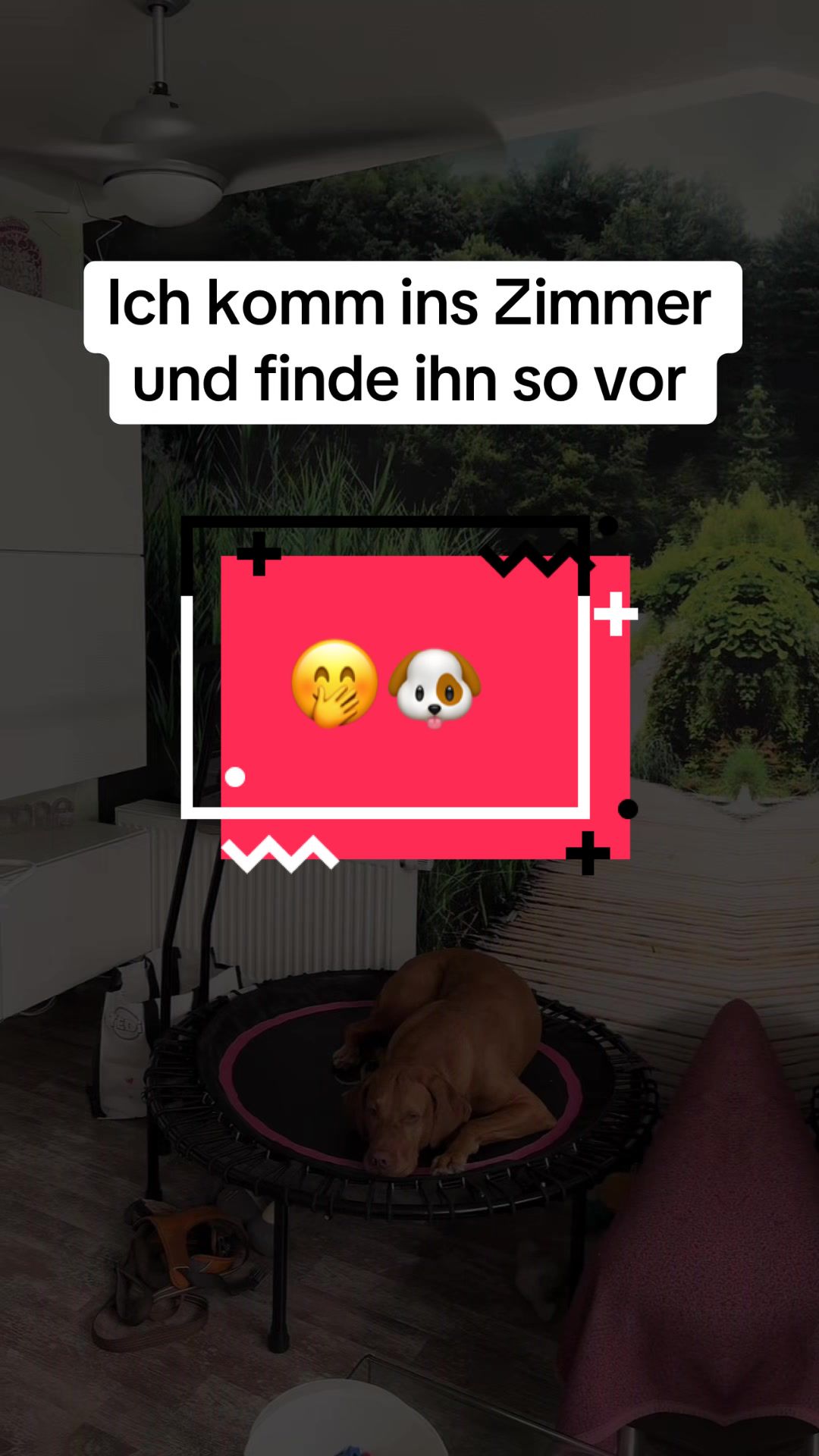 @Viola 🇩🇪 Alltag Panam&aacute; 🇵🇦