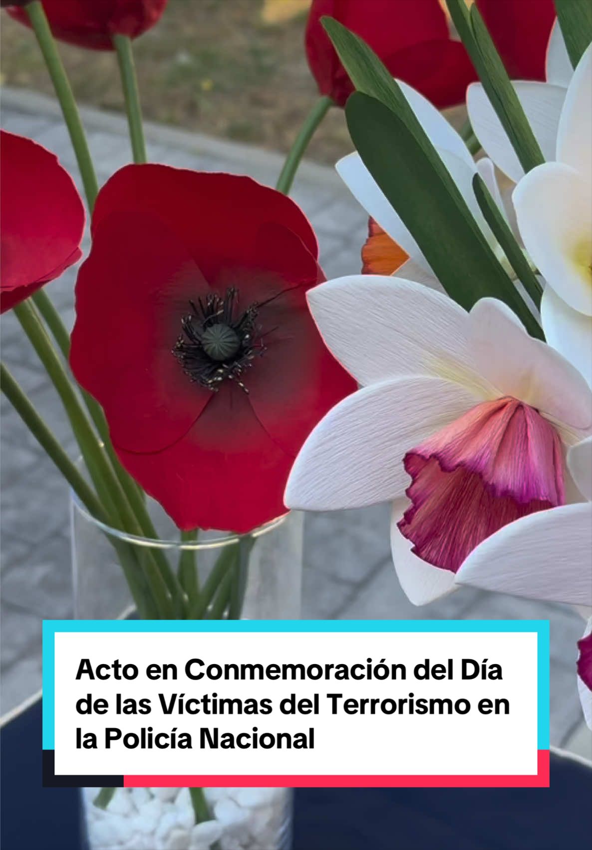 @Delegaci&oacute;n del Gobierno Madrid