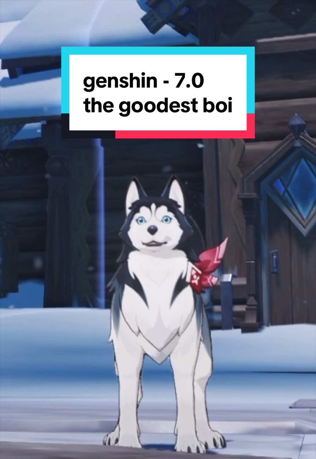 @Alex 🐺 ✪