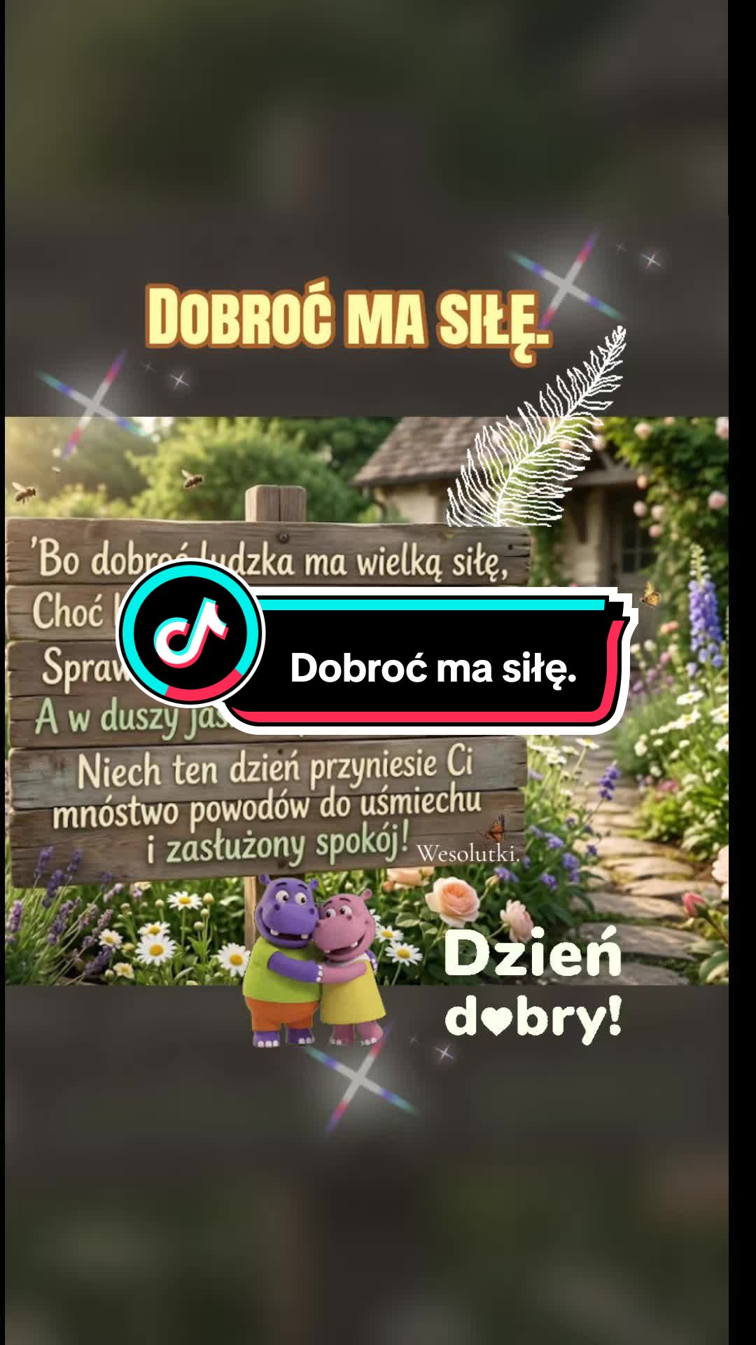 @Wesolutki 😎