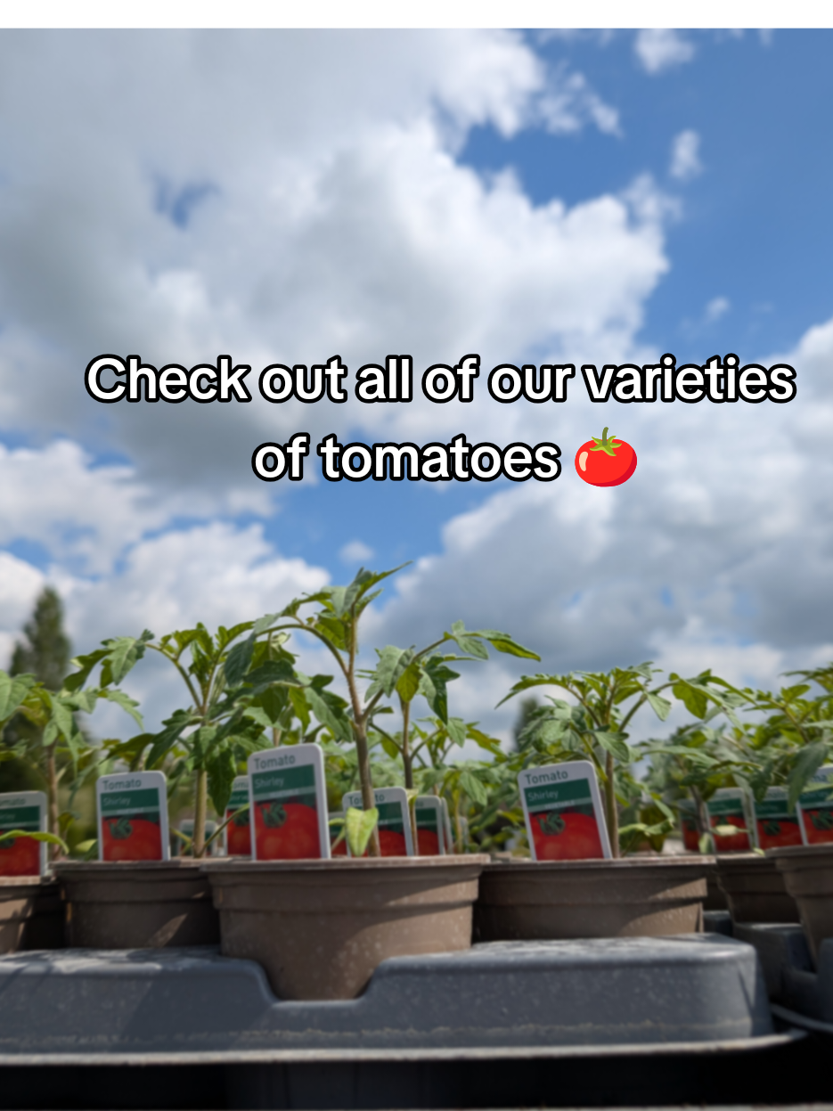 @Moores Nurseries