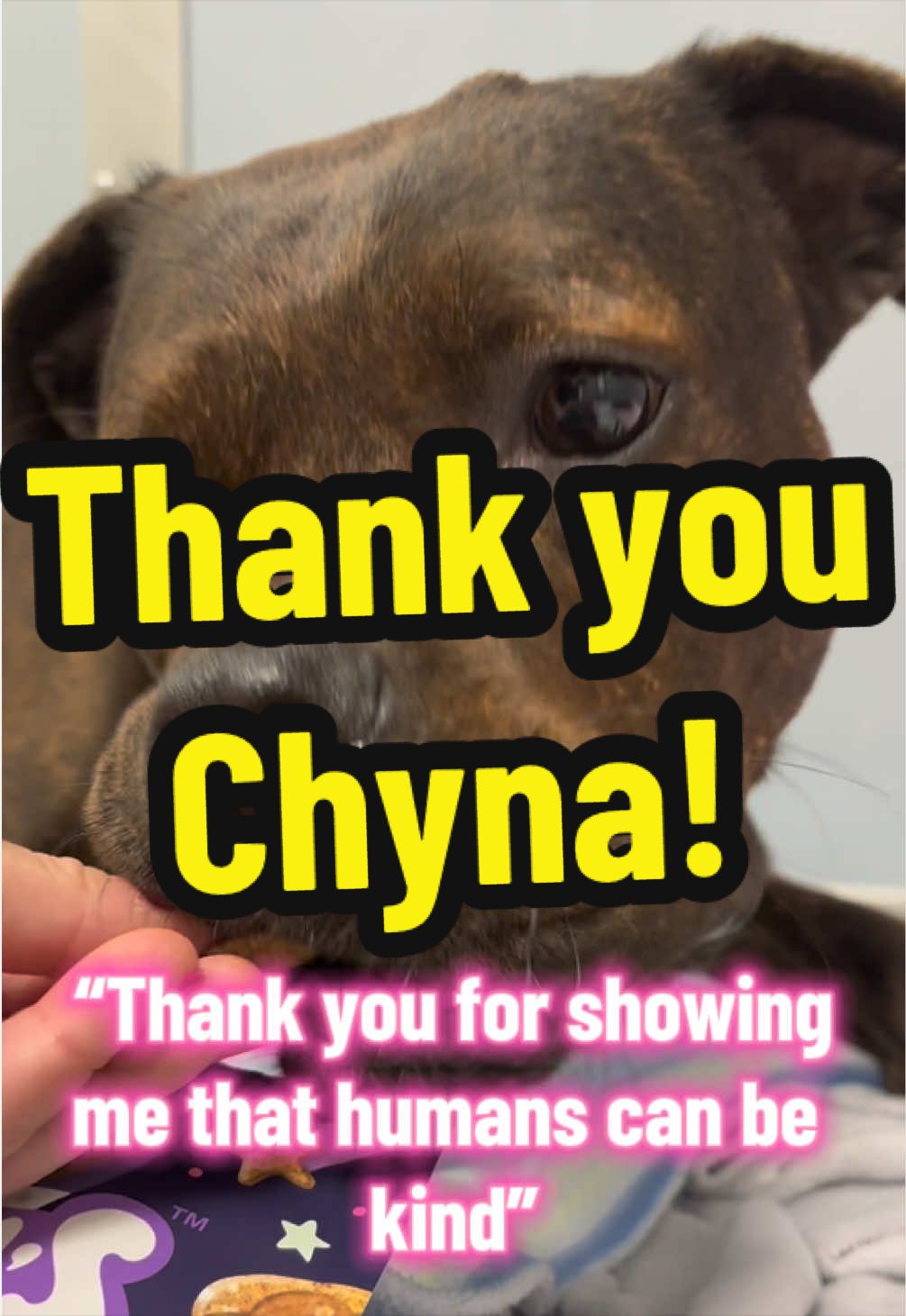 @RSPCA brighton