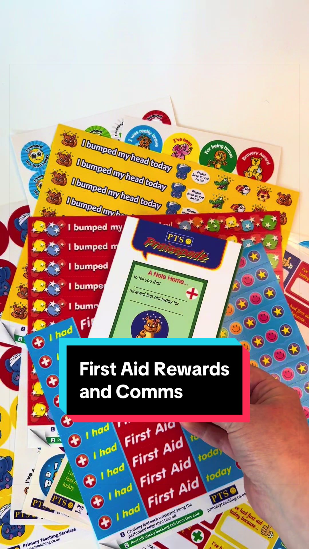 @Primary teaching services
