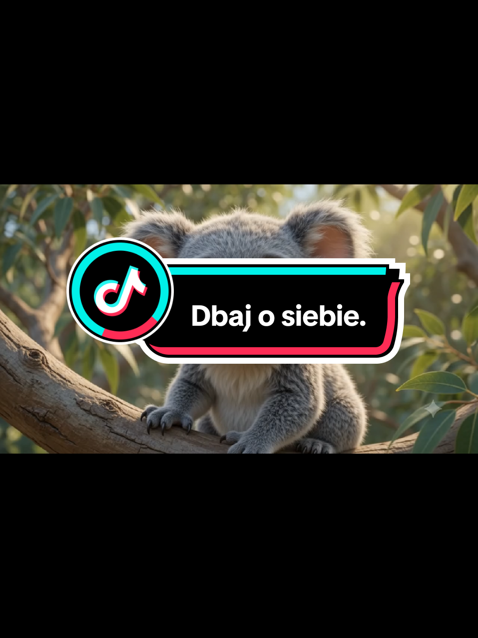 @Wesolutki 😎