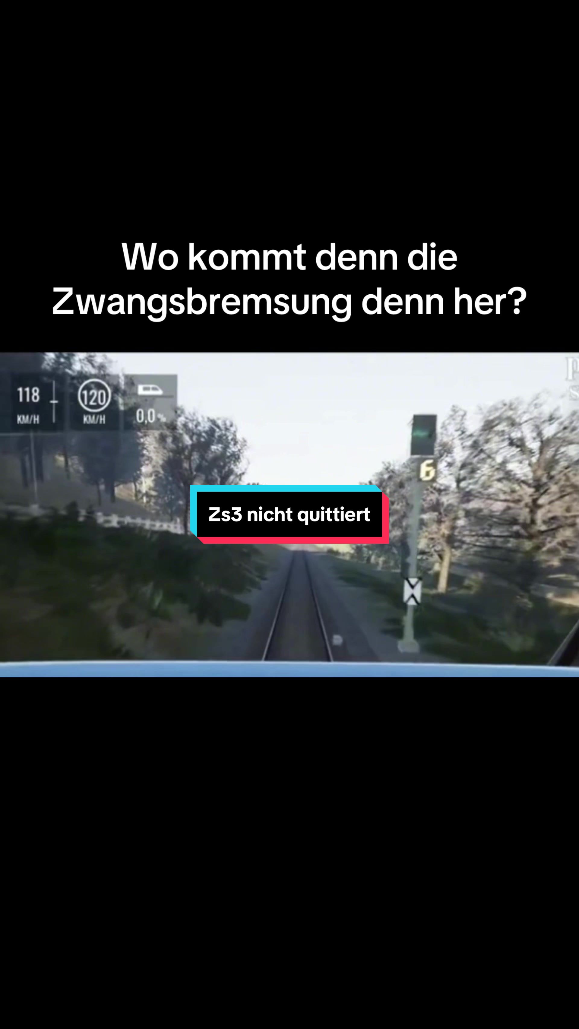 @zugvogel_05