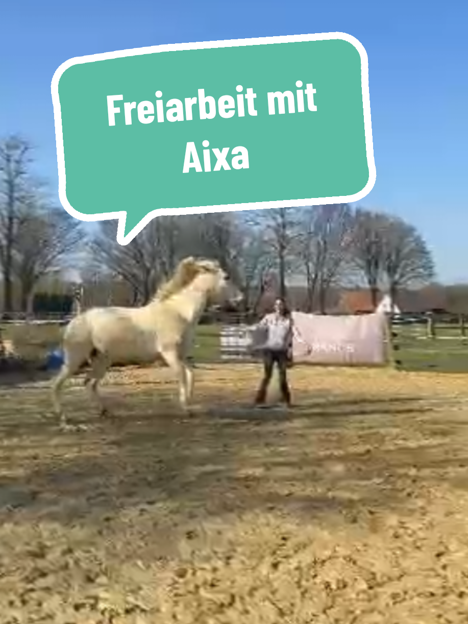 @Lisas kleine Ranch 🐴