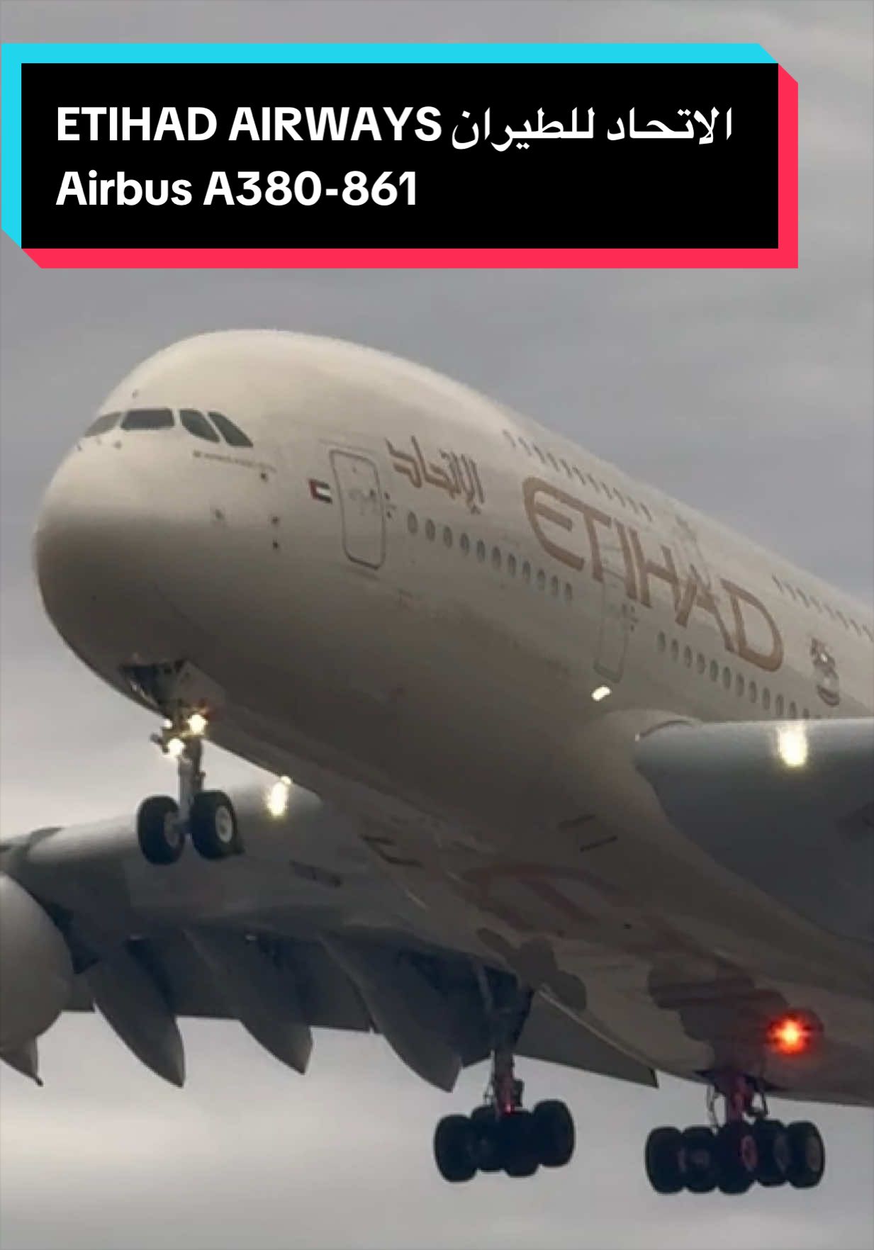 @AVIATION_YYZ_SPOTTER