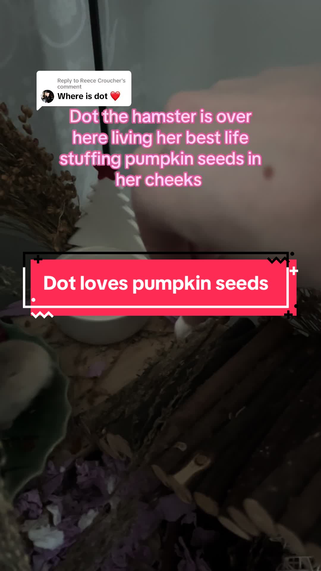 @The land of Dot
