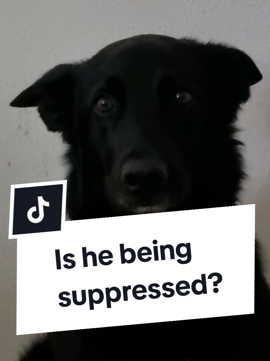 @offbrandgsd