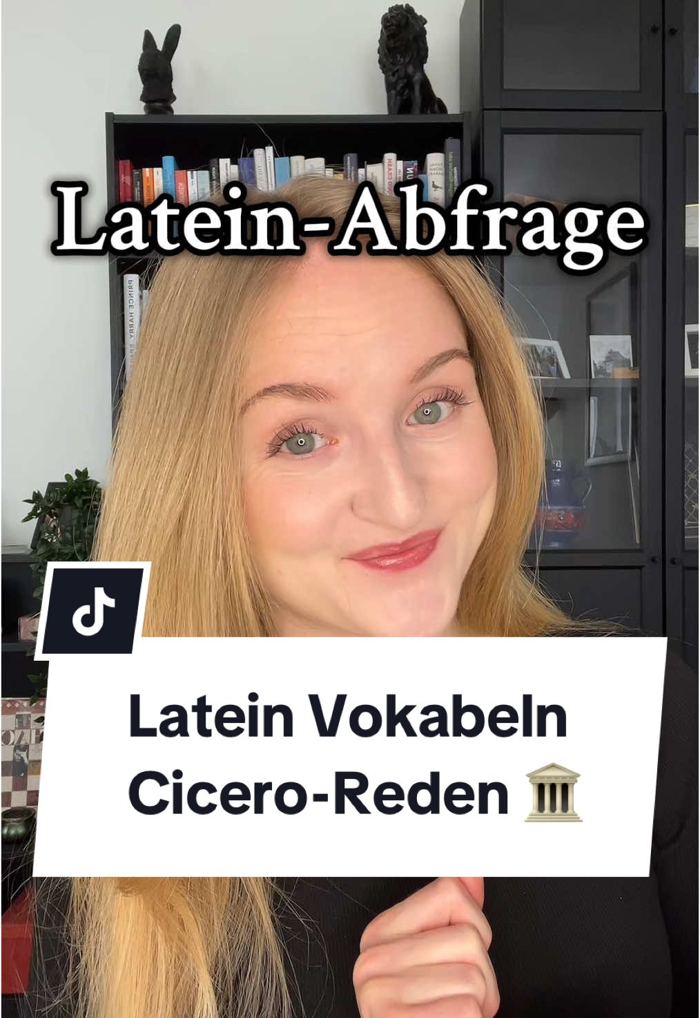 @Languaid - deine Sprachenhilfe