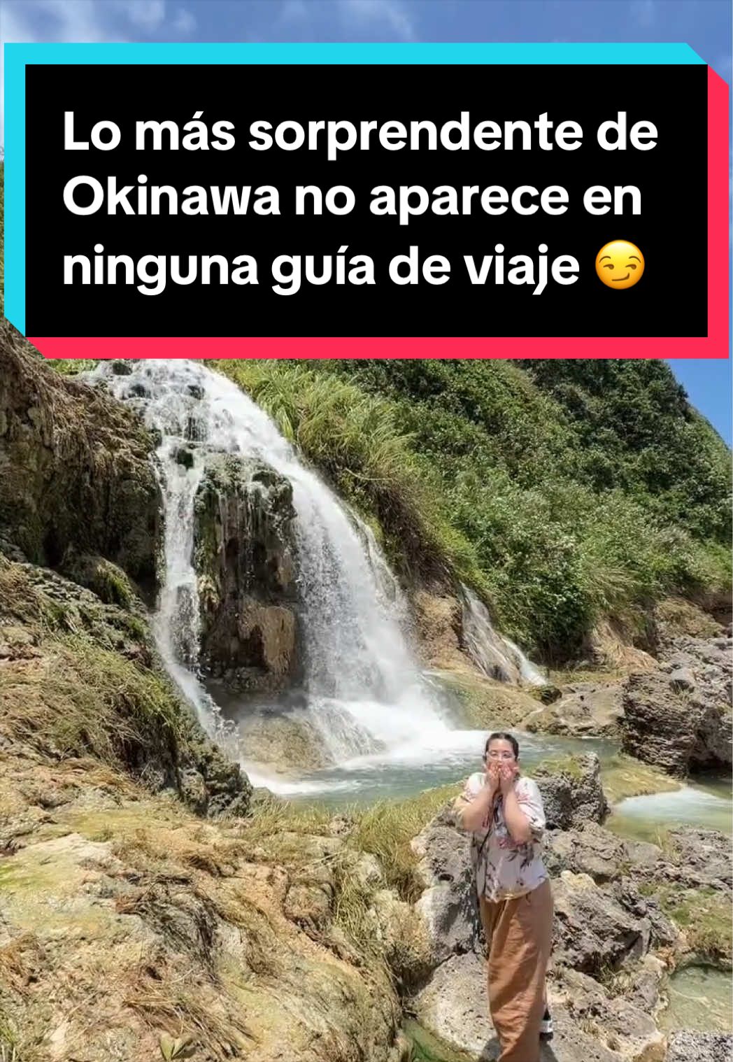 @Jap&oacute;n Alternativo