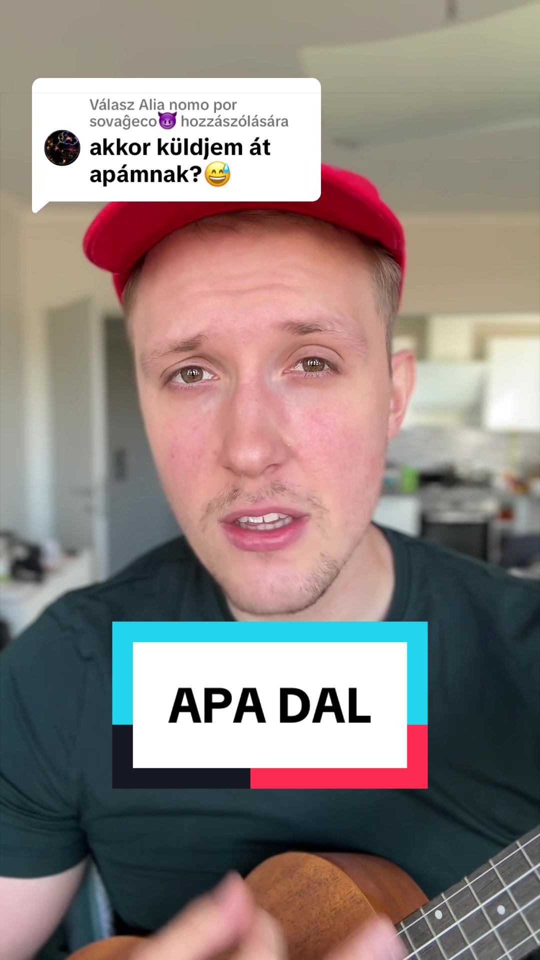 @Pál Péter