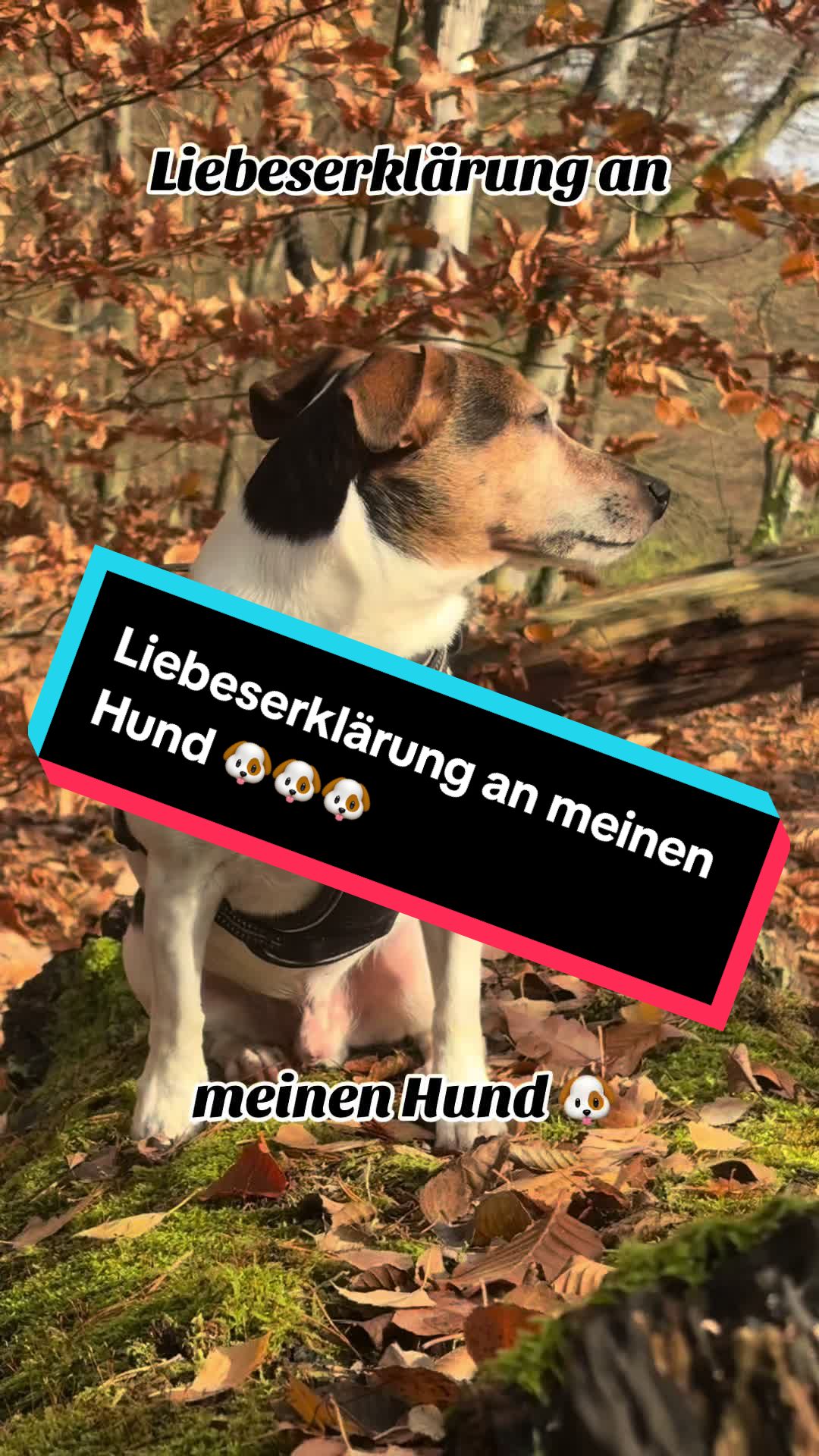 @Rocky und ich