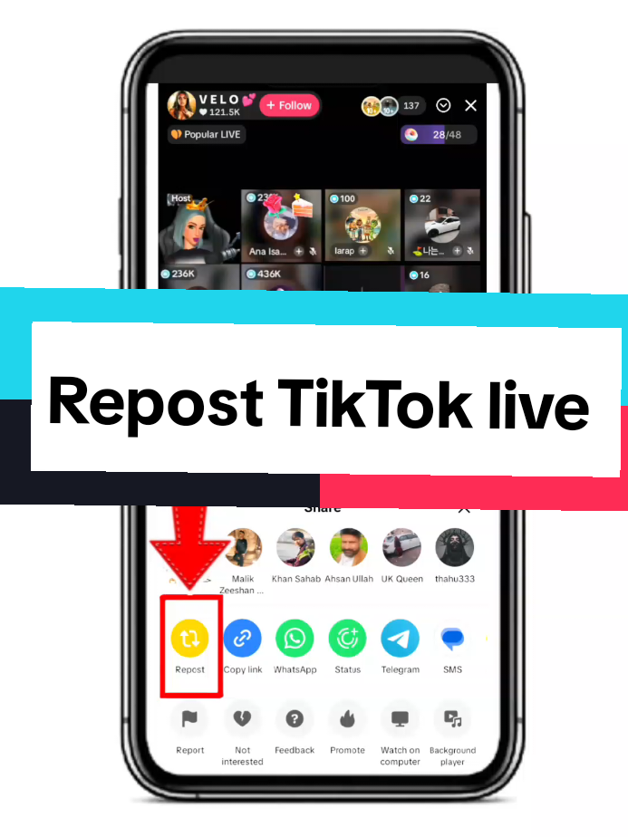 @TikTok Tricks Daily