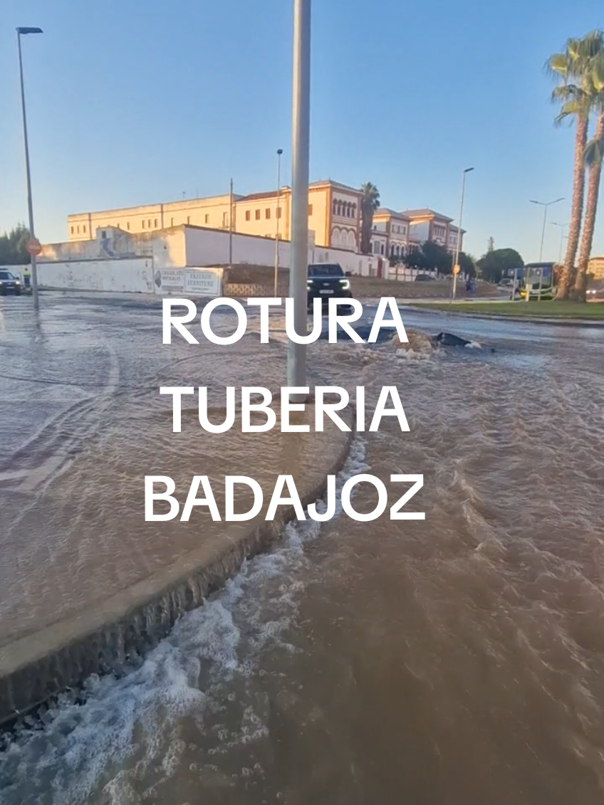 @Bea Z.R