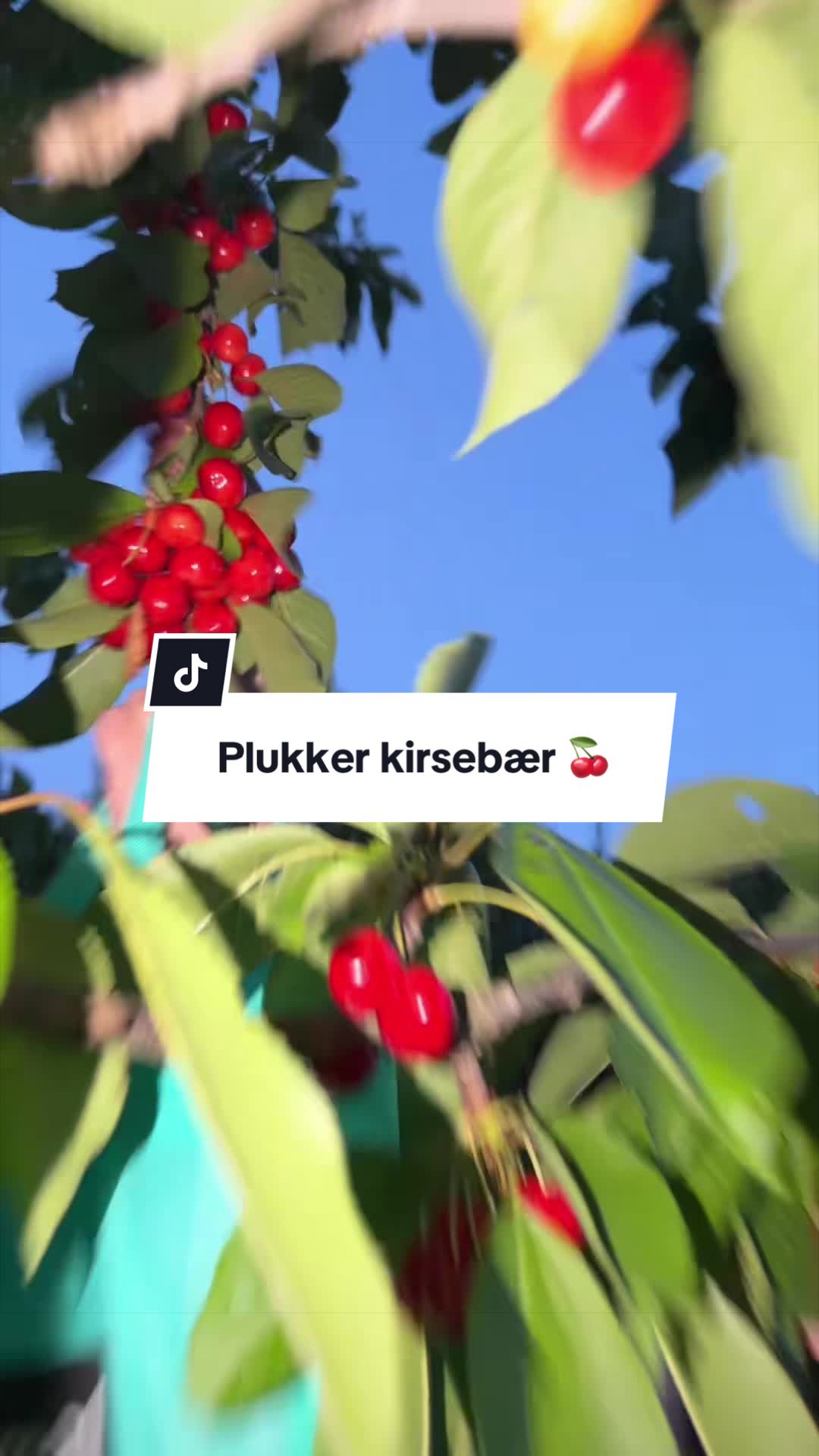 @Hirijet29♥️