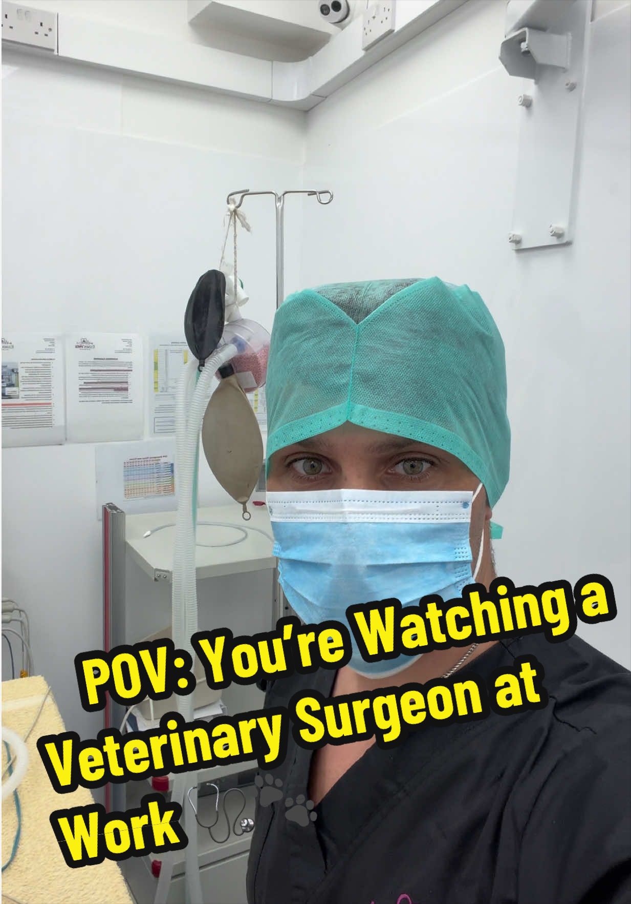 @Tomasthevet