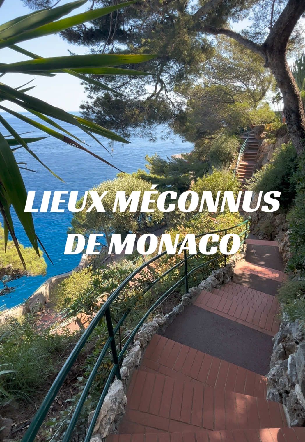 @ILONA IN MONACO 🇲🇨