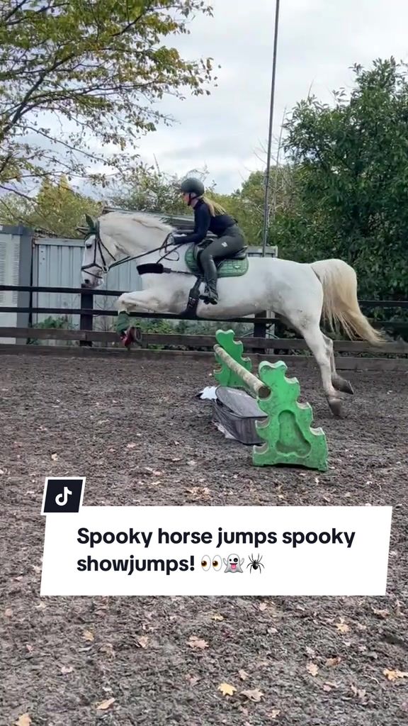 @Katiie&TheGreys