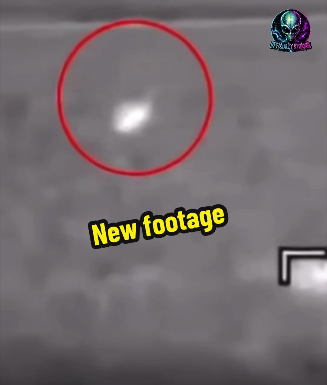 @officiallystrange1