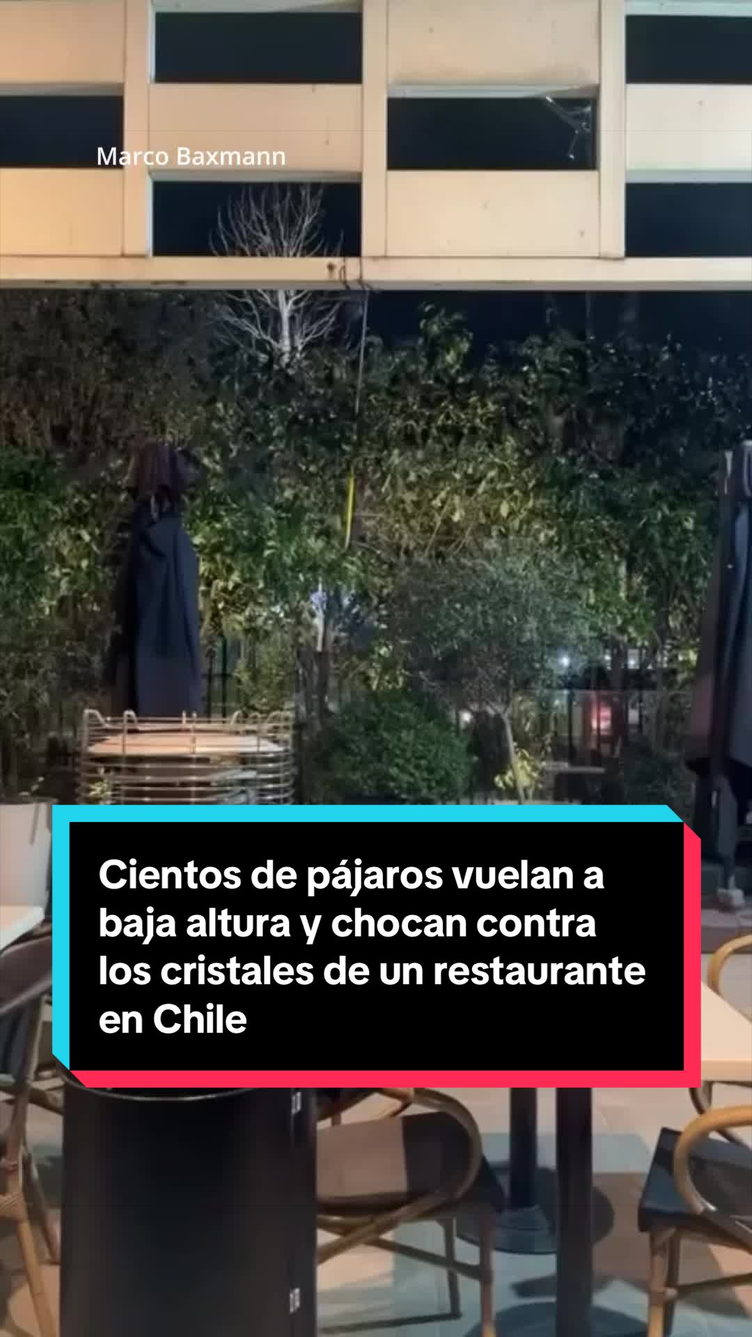 @EL ESPA&Ntilde;OL 🦁