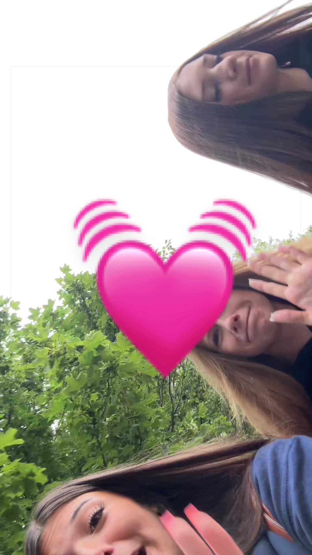 @Rosa spam x