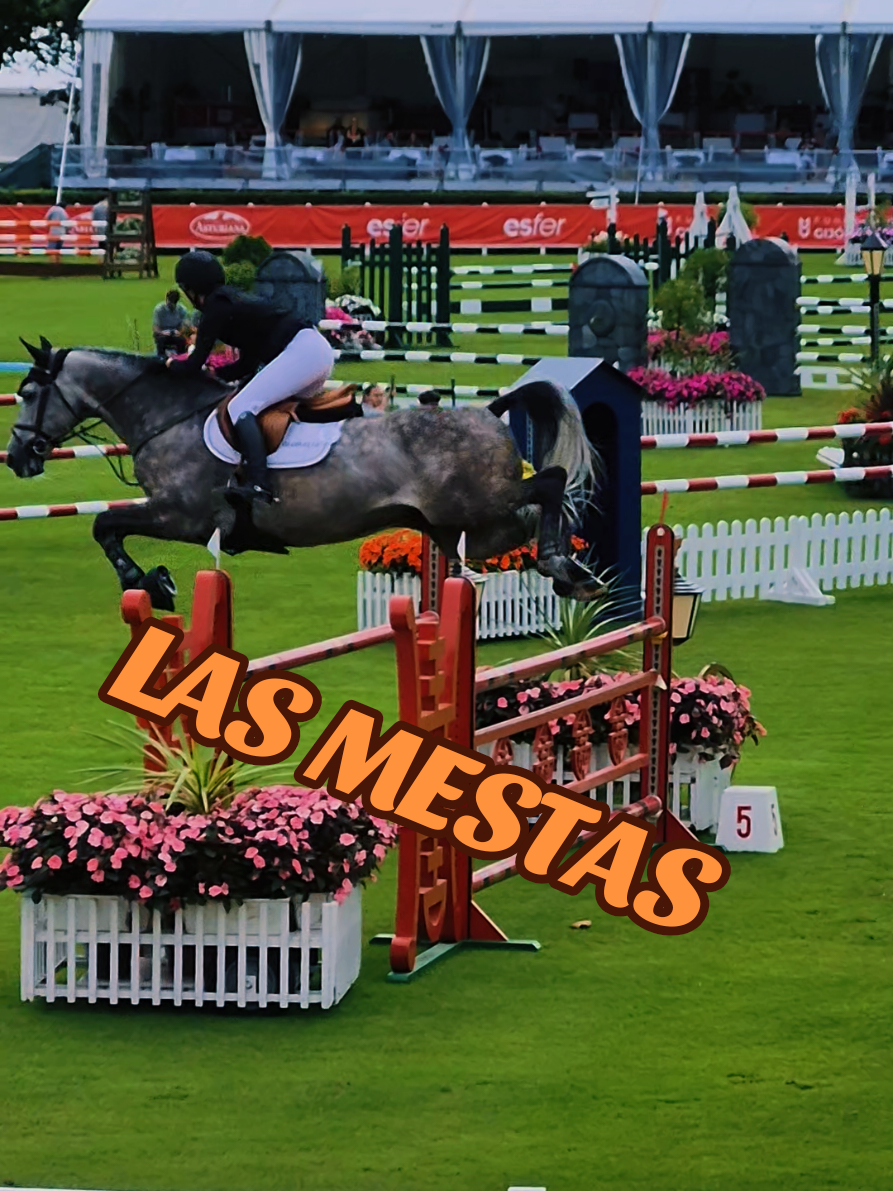 @lamujerdesastre