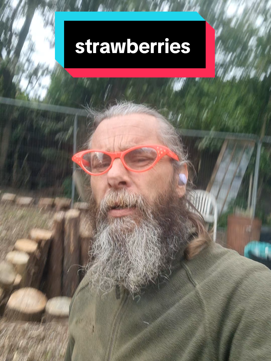 @The Nut Farm