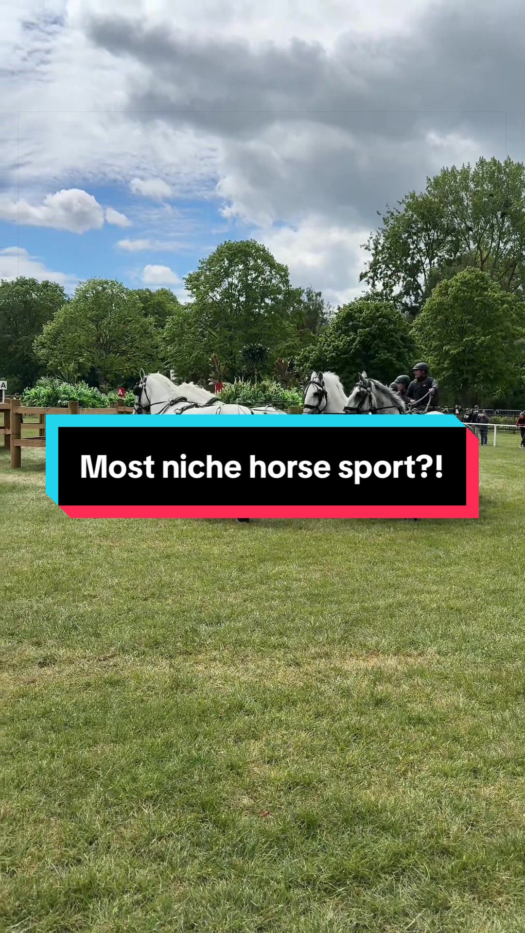 @Bex Foster 🐴