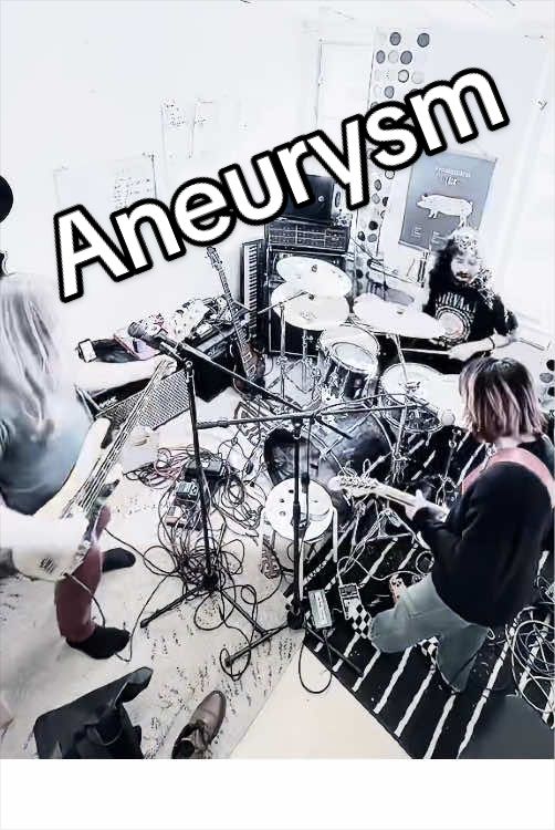 @SMELLS LIKE NIRVANA SE