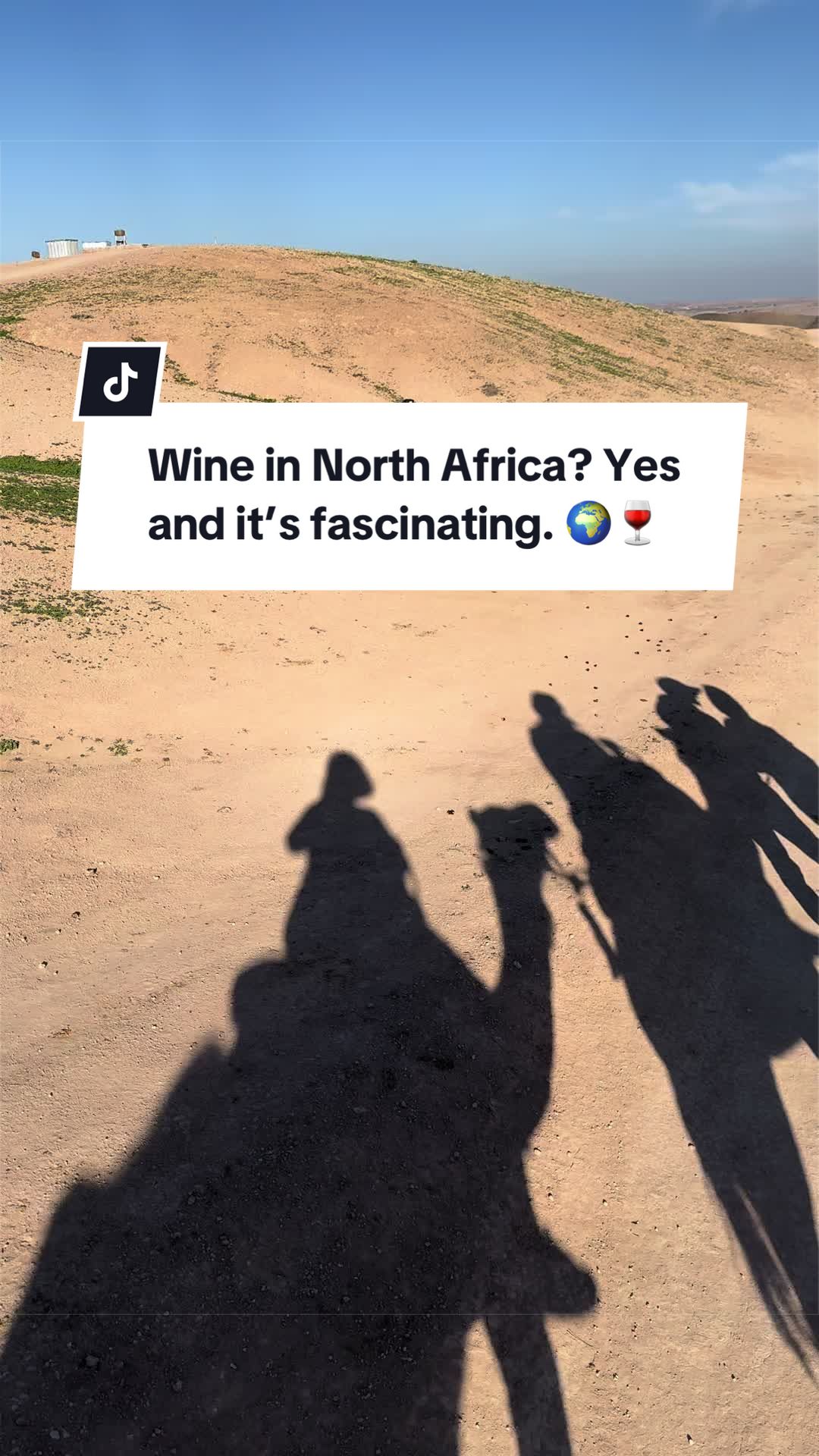@Charly | 🍷 Aspiring Somm |✈️