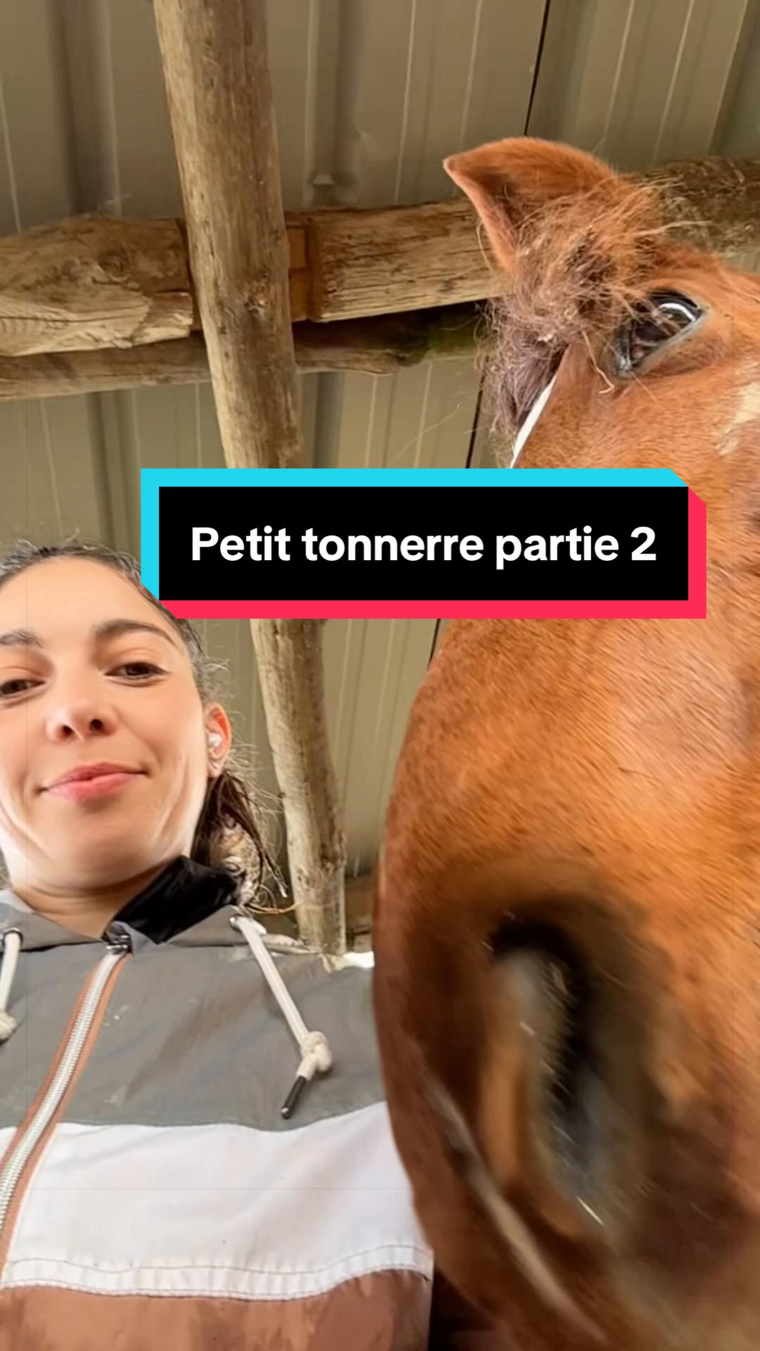 @Campagnarde 🦓