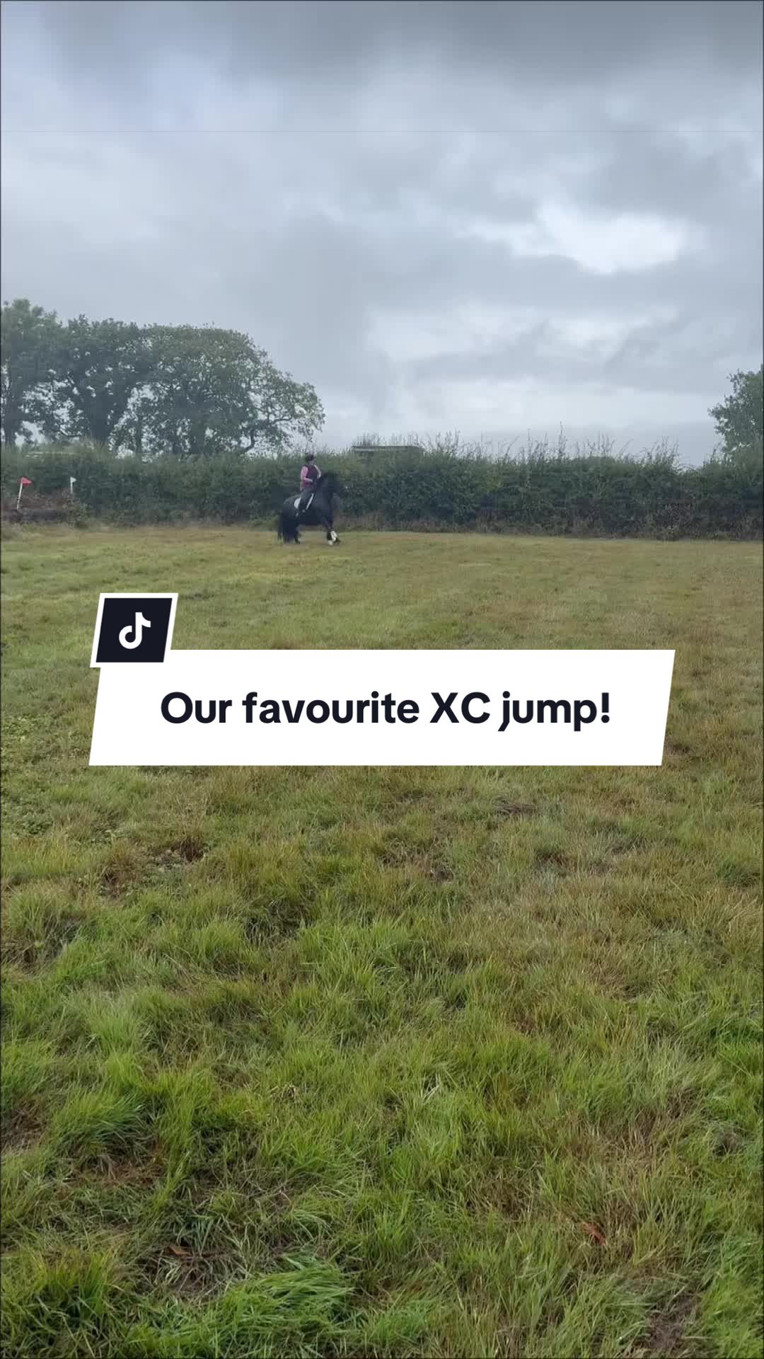 @Thatcobmilo