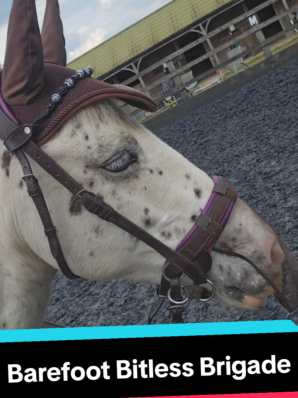 @Caitlin Padgett- Para Rider